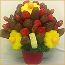 Orange, Daisy & Chocolate Apple Sensation